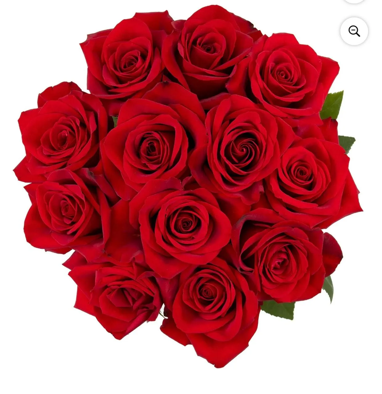 SAME DAY DELIVERY TO USA and CANADA ONLY